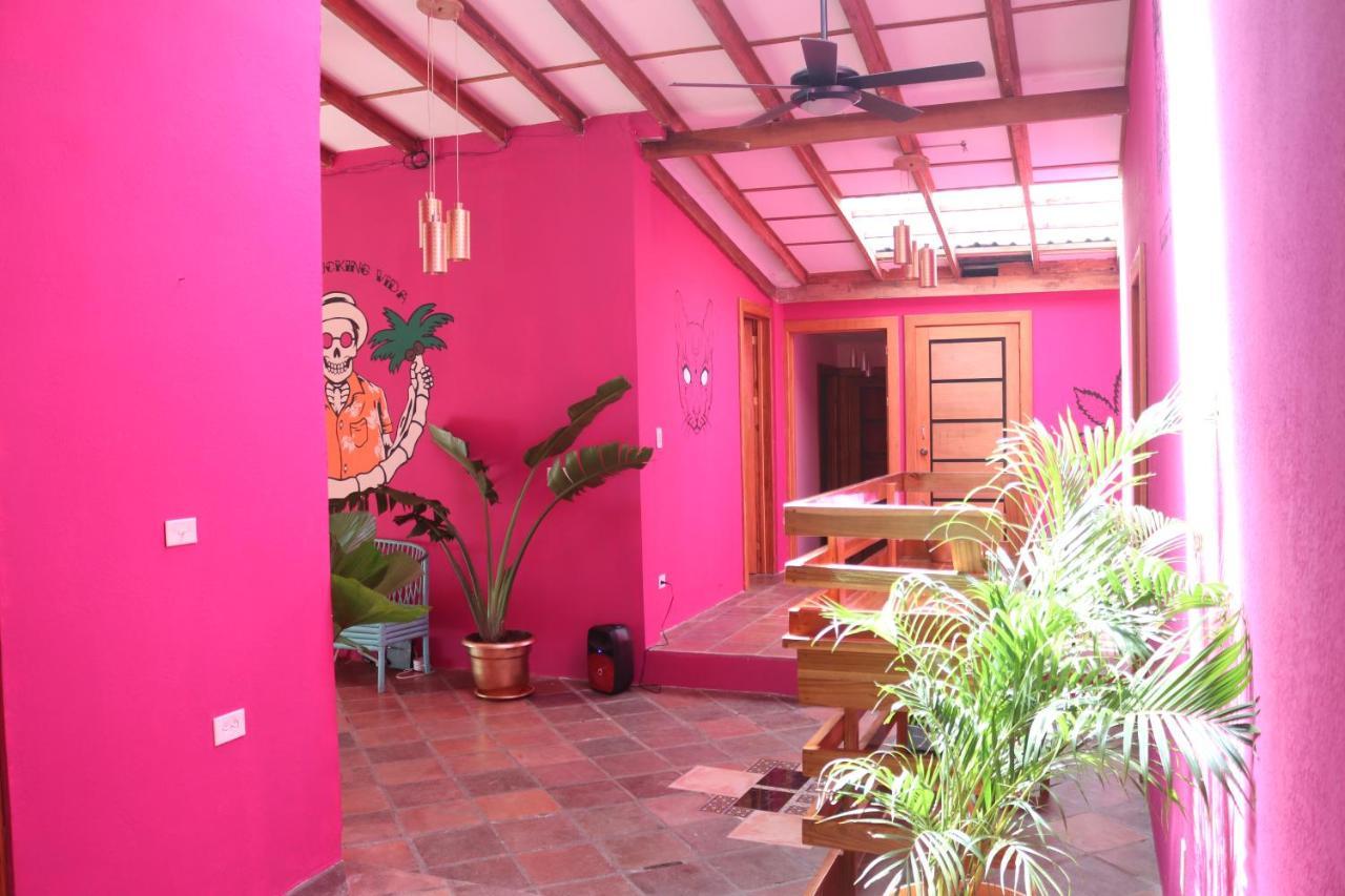 Planet B Hostel Quepos Exterior photo